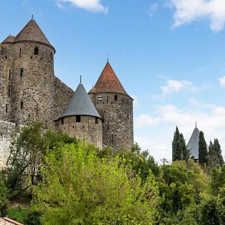 Au Puits De La Cite - Terrasse Vue Cite - Wifi